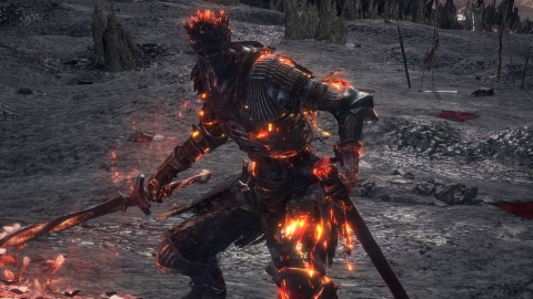 PC Games - Dark Souls